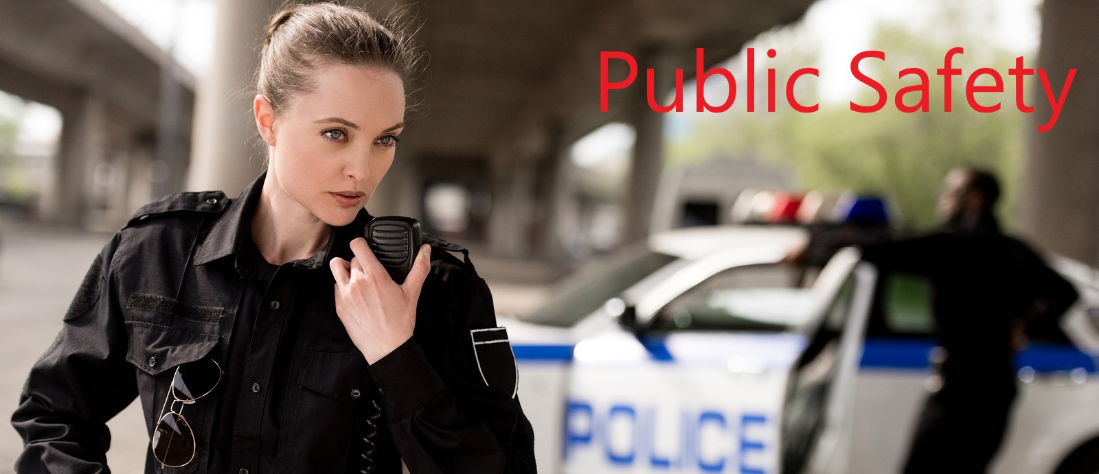 Cellular/Public Safety/Private Network