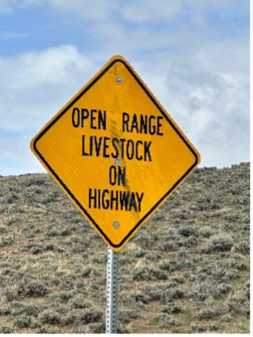 Livestock