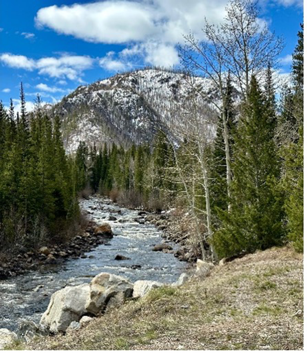 Nature